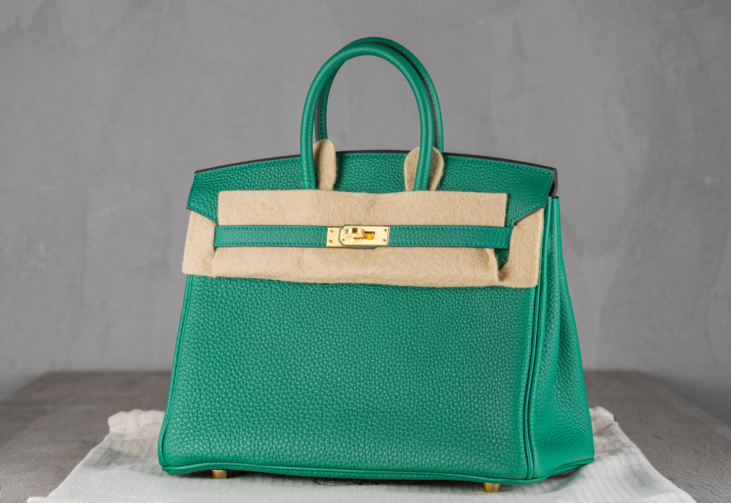 Hermès B25 Birkin 25 Retourne Bag in Vert Vertigo Togo Leather with Gold Hardware
